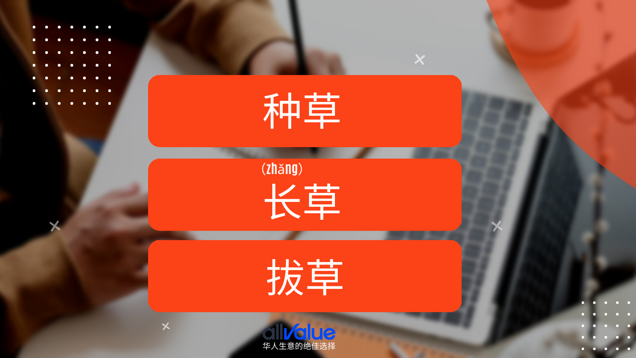 內(nèi)容與商業(yè)相遇：小紅書，2023海外華人商家一定要抓住的商業(yè)風(fēng)向